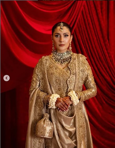 Hand embroidered zardosi dress
Luxury Pakistani party wear suit