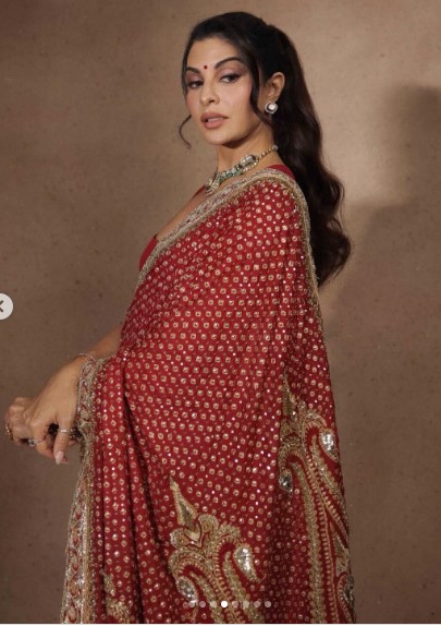 Zardozi Saree Design
Handcrafted Saree India