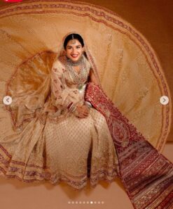 Radhika Ambani Wedding Bridal lehenga Online Original Inspired Wedding Outfit - DN-1068
