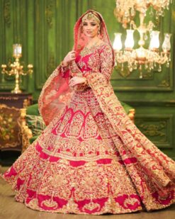 RANI PINK WEDDING LEHENGA WITH GOLDEN EMBROIDERY CHOLI - DN-1904
