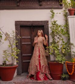 Designer wedding Golden Anarkali with lehenga and Embellishment - DN-1381