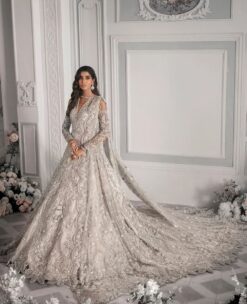 Classy Designer Pakistani Walima long Trail Gown with Embroidery Bespoke - DN-1137