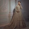 Classy Designer Pakistani Wedding and Reception lehenga - DN-1116