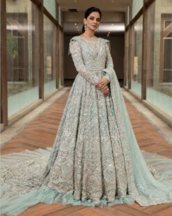 Pakistani Bridal Long Trail Gown with Golden Embroidery - DN-1660