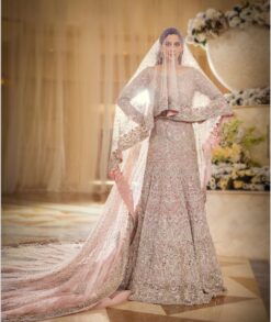Classy Pastel Long Veil Bridal Gown with Embroidery  Trail - DN-1661