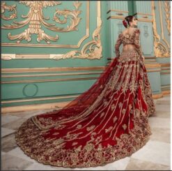 Luxury Long Tail Gown & Zardosi Work Shadi Joda – Elegant Wedding & Pre-Wedding Long Trail Dress for Women - DN-2071