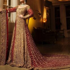 Classy Red Designer Pakistani Nikaah Long Trail Gown with Golden Embroidery - DN-1390