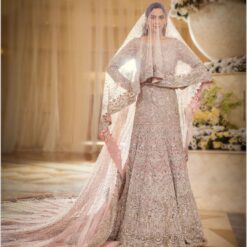 Pink Classy Pakistani Walima and Nikaah long Trail Gown with Frill and Embroidery Bespoke - DN-1163