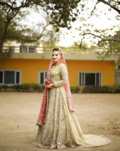 Pakistani Walima Long Trail Gown With Golden Embroidery - DN-1645