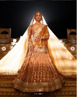 Alia Bhat Wedding Bridal Orange Lehenga Indian Ethnic Bollywood Dress - DN-1111