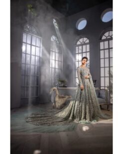 Classy Pakistani Wedding and Walima Designer Frill long Trail and Veil Gown with Embroidery and pearls work Bespoke - DN-1160