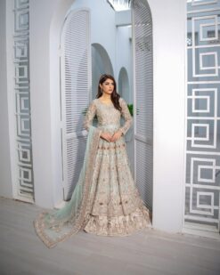 Reception Long Embroidered Anarkali with lehenga - DN-1632