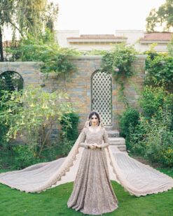 Pakistani  Wedding Gown with Embroidered Long Veil - DN-1631