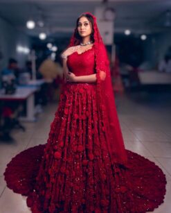 Classy Designer Indian Bridal lehenga choli with Embroidery and Sequence Work Bespoke - DN-1158