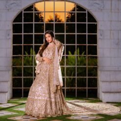 Pakistani Wedding Waleema long Trail Gown with Embroidery - DN-1475