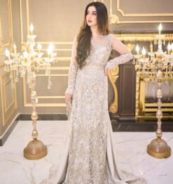 Designer Partywear long Embroidered kameez with skirt Bespoke - DN-1201