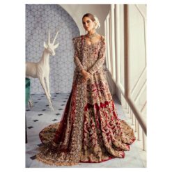 Designer Pakistani Red Bridal Long Trail gown with Embroidery - DN-1572