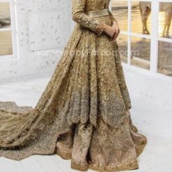 Golden Designer Pakistani Waleema Long Trail anarkali with Embroidered Lehenga - DN-1565