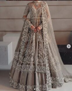 Stunning Wedding Designer Long Anarkali Pakistani Bollywood Indian Pakistani Maxi - DN-1103