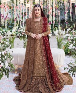 Classy Designer Pakistani Wedding long Trail Lehenga with kameez - DN-1179