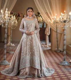 Classy Designer wedding and Reception long trail Peplum with lehenga and Embroidery Bespoke - DN-1181