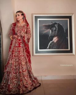 Red Designer Indian and Pakistani Bridal Gown with Golden Embroidery - DN-1500