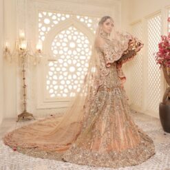 Classy Designer Pakistani Wedding and Reception  long Trail Gown with Embroidery Bespoke - DN-1175