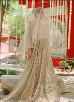 Pastel Colour Floor Length Maxi Pakistani Style Anarkali Bridal Walima Nikaah Dress – DN-3003