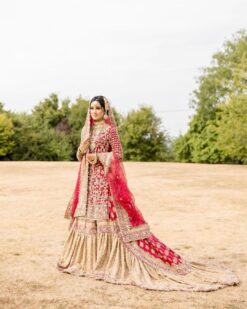 Pakistani Golden wedding long Trail Lehenga with Red Embroidered Kurti  Pink - DN-1468