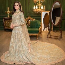 Ivory Designer Pakistani Wedding long Trail Gown with Embroidery and Bespoke - DN-1146