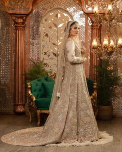 Golden Designer Classy Wedding Waleema long Trail Anarkal with Lehenga and Embellishment - DN-1479