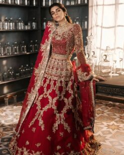Red Designer Indian Bridal Lehenga Choli with Golden Embroidery - DN-1533