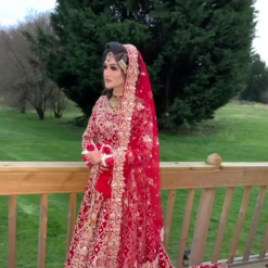 Hot Pink Velvet Wedding Lehenga With Crop top - DN-2064