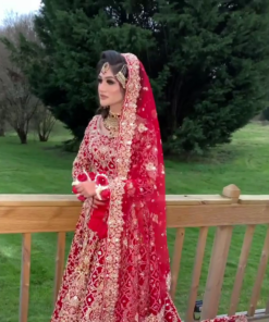 Hot Pink Velvet Wedding Lehenga With Crop top - DN-2064